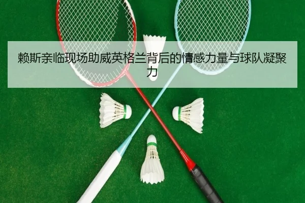 赖斯亲临现场助威英格兰背后的情感力量与球队凝聚力